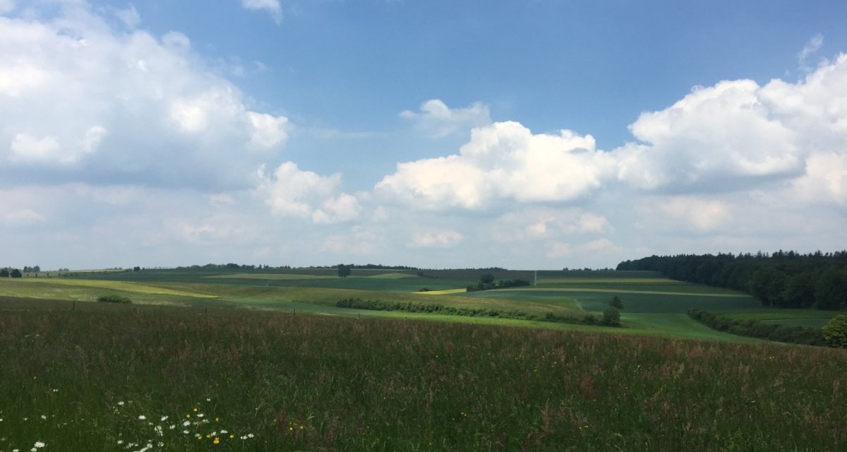 Weite grüne Felder erstrecken sich unter einem blauen Himmel mit weißen Wolken. Im Vordergrund blühen Wildblumen., © www.pro-cycl.de Weite grüne Felder erstrecken sich unter einem blauen Himmel mit weißen Wolken. Im Vordergrund blühen Wildblumen., © www.pro-cycl.de
