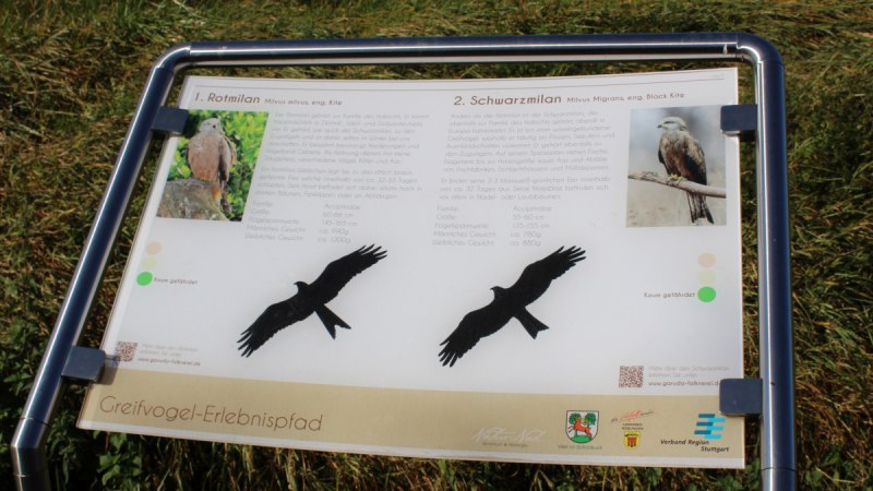 Infotafel über Rotmilan und Schwarzmilan auf einem Greifvogel-Erlebnispfad. Enthält Bilder und Informationen zu den Vögeln. Hintergrund aus Gras., © Natur.Nah. Schönbuch & Heckengäu