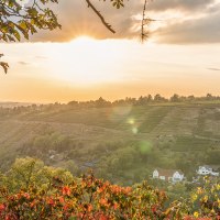 Sonnenuntergang über Weinbergen und Häusern in Bietigheim. Herbstliche Blätter im Vordergrund, sanfte Hügel und ein weites Tal im Hintergrund., © SMG, Martina Denker