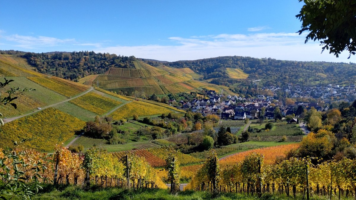 Panoramablick vom Rotenberg auf herbstliche Weinberge und ein malerisches Dorf, umgeben von grünen Hügeln unter blauem Himmel. Panoramablick vom Rotenberg auf herbstliche Weinberge und ein malerisches Dorf, umgeben von grünen Hügeln unter blauem Himmel.