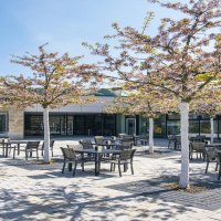 Haupteingang der Panorama Therme Beuren mit blühenden Bäumen und Bistro-Tischen im Freien., © SMG, Sarah Schmid Haupteingang der Panorama Therme Beuren mit blühenden Bäumen und Bistro-Tischen im Freien., © SMG, Sarah Schmid