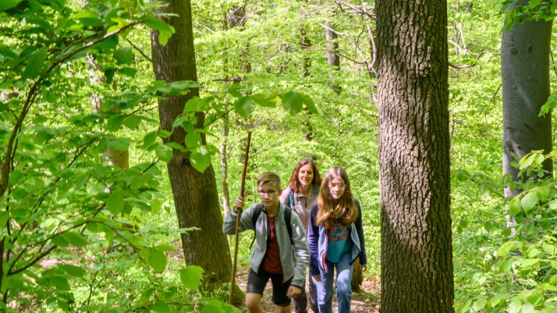 Drei Personen wandern auf einem schmalen Waldweg, umgeben von dichtem, grünem Laub. Die Sonne scheint durch die Bäume., © Stadtverwaltung Winnenden