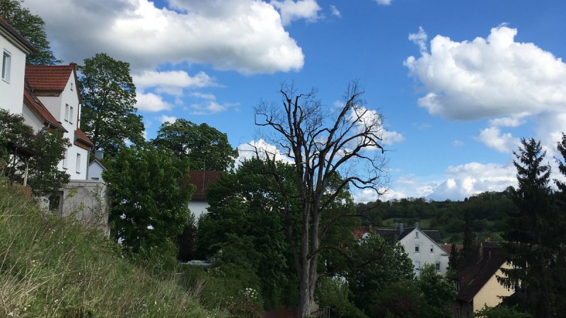 Gl&uuml;cklichtweg am Zeiselberg, &copy; Touristik und Marketing GmbH Schw&auml;bisch Gm&uuml;nd