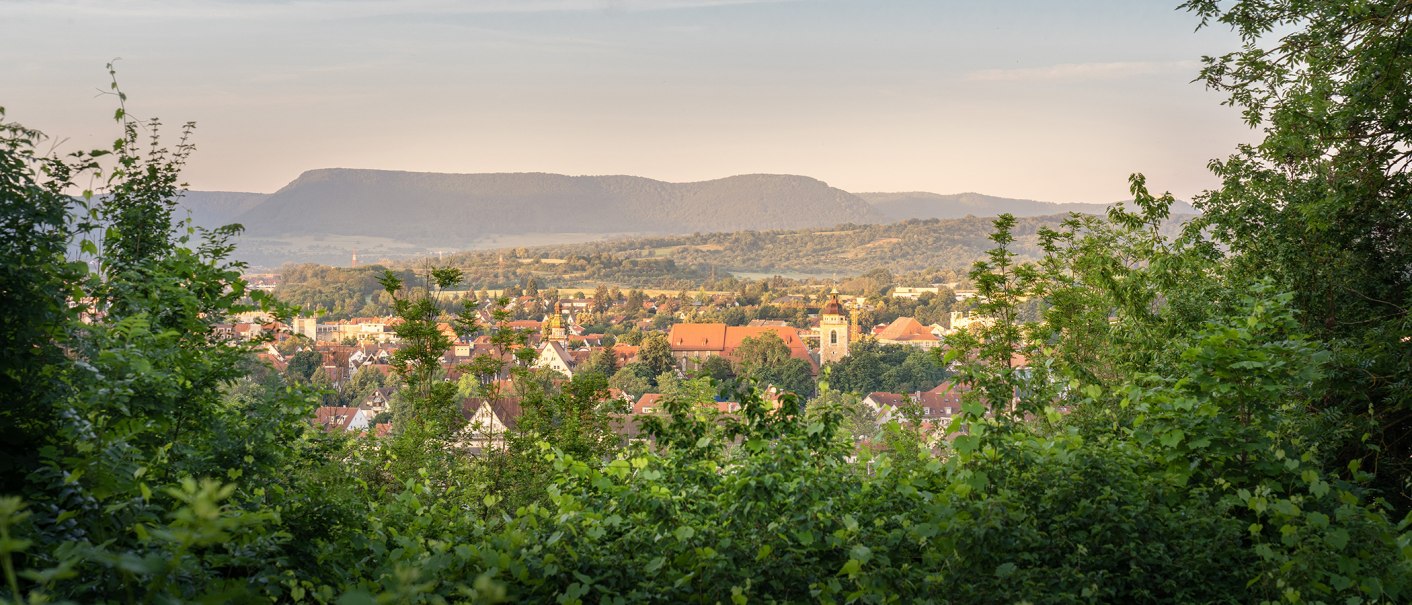 Blick vom Aussichtspunkt Würstlesberg auf eine Stadt, umgeben von grüner Vegetation, mit Bergen im Hintergrund bei Sonnenuntergang., © SMG, Martina Denker Blick vom Aussichtspunkt Würstlesberg auf eine Stadt, umgeben von grüner Vegetation, mit Bergen im Hintergrund bei Sonnenuntergang., © SMG, Martina Denker