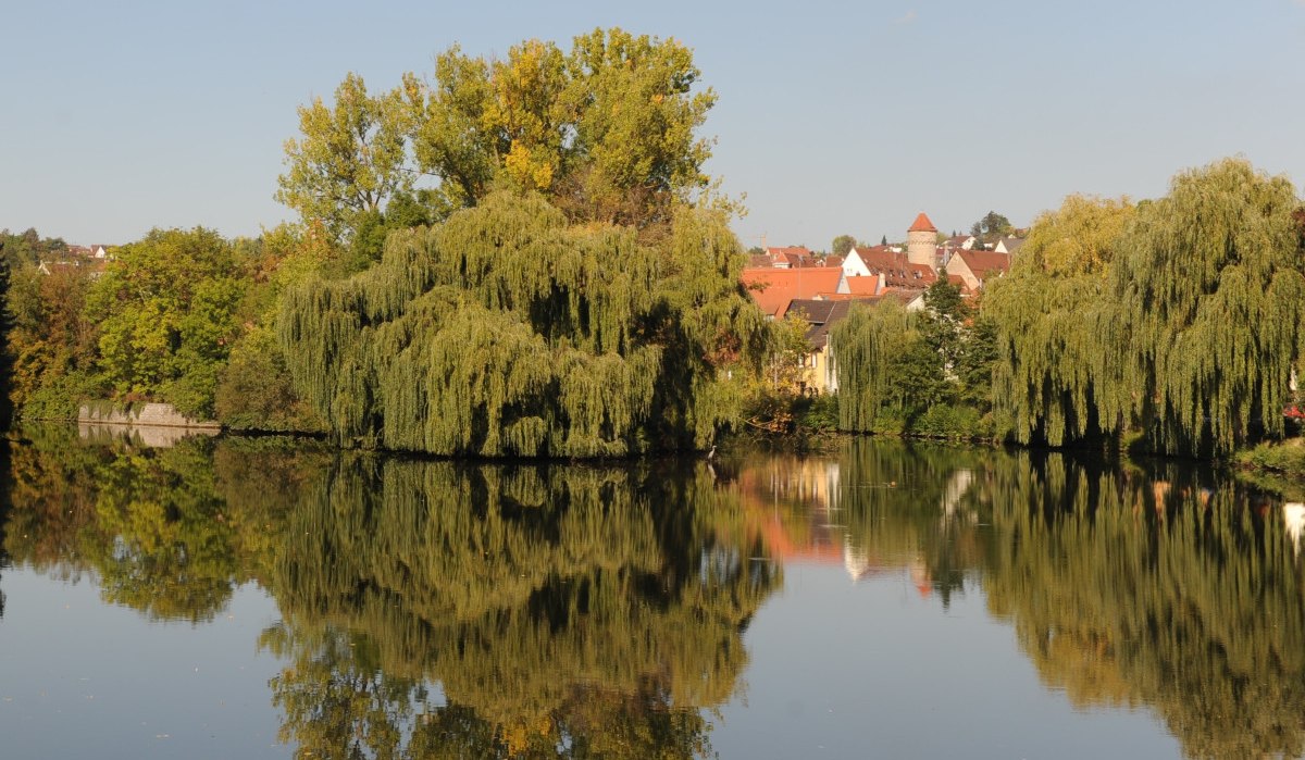 Ein ruhiger Fluss mit üppigen Bäumen und roten Dächern im Hintergrund, die sich im klaren Wasser spiegeln., © Land der 1000 Hügel - Kraichgau-Stromberg