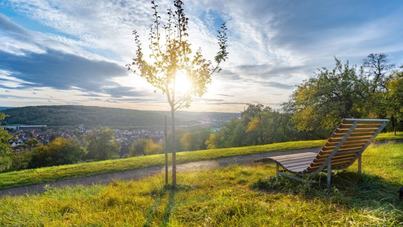 Sonnenuntergang über einer grünen Wiese mit Holzliege und jungem Baum, im Hintergrund eine Stadtlandschaft und bewaldete Hügel., © Martina Denker Stuttgart Marketing GmbH Sonnenuntergang über einer grünen Wiese mit Holzliege und jungem Baum, im Hintergrund eine Stadtlandschaft und bewaldete Hügel., © Martina Denker Stuttgart Marketing GmbH
