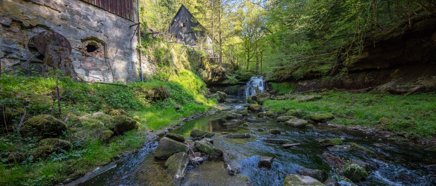 Eine alte Mühle im Wald, umgeben von üppigem Grün. Ein Bach fließt vorbei, mit einem kleinen Wasserfall im Hintergrund., © SMG, Achim Mende Eine alte Mühle im Wald, umgeben von üppigem Grün. Ein Bach fließt vorbei, mit einem kleinen Wasserfall im Hintergrund., © SMG, Achim Mende
