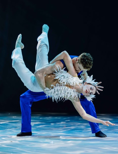 Szene aus &#34;Schwanensee&#34;, © Foto: Andrea D&#39;Aquino