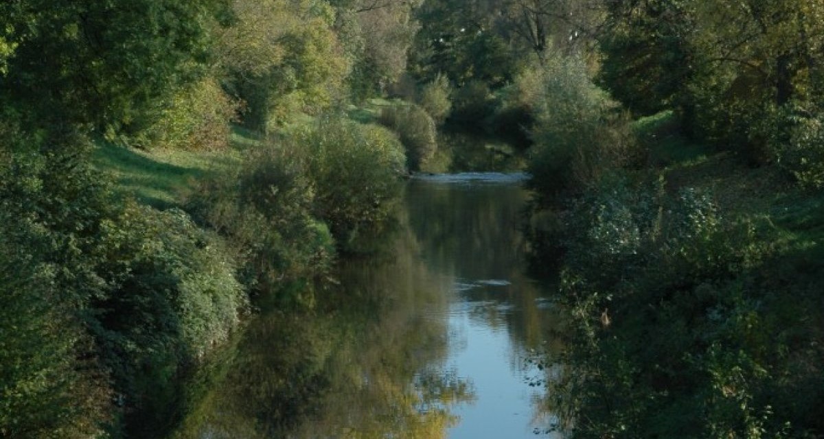 Ein ruhiger Flusslauf der Rems, umgeben von &uuml;ppigem Herbstlaub und reflektierendem Wasser unter klarem Himmel., &copy; Aktiv-Region Stuttgart