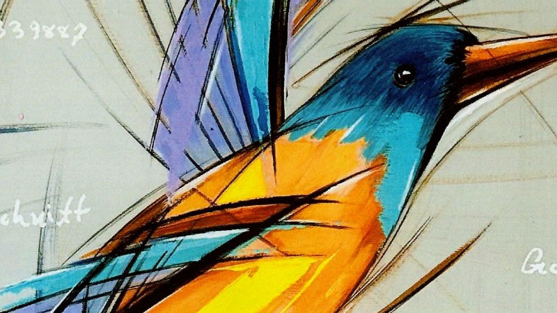 bunter Vogel vor grauem Hintergrund, © Abdul Naser Sawabi bunter Vogel vor grauem Hintergrund, © Abdul Naser Sawabi