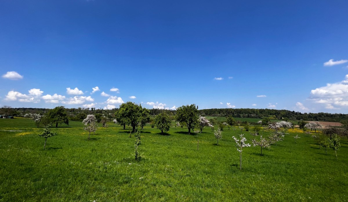 &copy; Natur.Nah. Sch&ouml;nbuch & Heckeng&auml;u