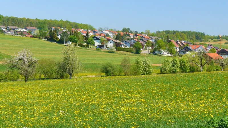 Bl&uuml;hende Wiesen mit gelben Blumen vor einem Dorf mit roten D&auml;chern, umgeben von gr&uuml;nen Feldern und B&auml;umen unter klarem, blauem Himmel., &copy; Natur.Nah. Sch&ouml;nbuch & Heckeng&auml;u