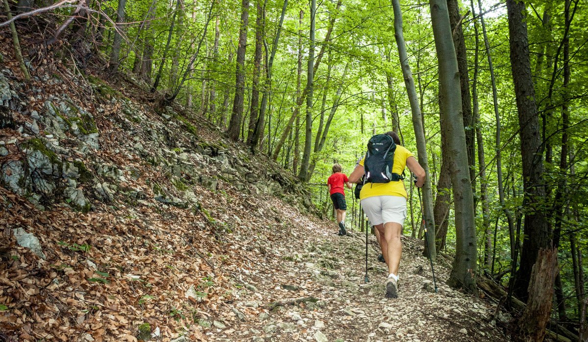 Zwei Wanderer mit Rucksäcken und Stöcken gehen einen steinigen Pfad im grünen Wald hinauf., © hochgehberge