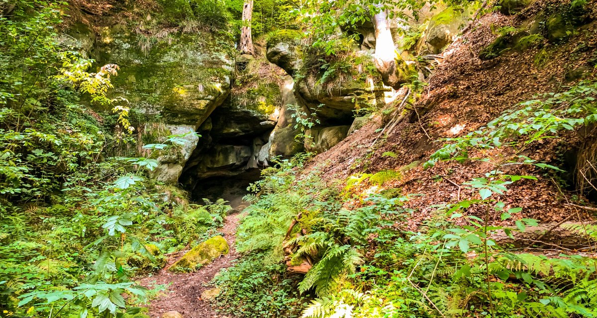 Ein Waldpfad führt zu einer Felsformation mit Höhle, umgeben von dichtem Grün und Farnen., © agentur arcos/Niki Eilers Ein Waldpfad führt zu einer Felsformation mit Höhle, umgeben von dichtem Grün und Farnen., © agentur arcos/Niki Eilers