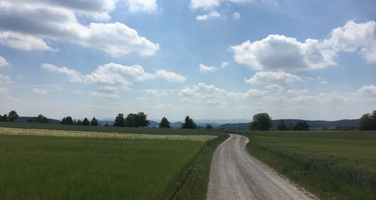 Ein schmaler Weg schl&auml;ngelt sich durch gr&uuml;ne Felder unter einem bew&ouml;lkten Himmel. Die Landschaft wirkt ruhig und idyllisch., &copy; www.pro-cycl.de