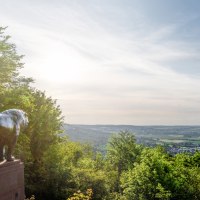 Gerlinger Löwe auf dem Schlossberg, © SMG, Martina Denker