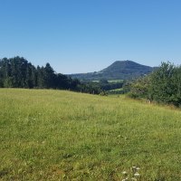 Gr&uuml;ne Wiese mit Blick auf den bewaldeten Hohenrechberg. Der Himmel ist klar und blau, umgeben von B&auml;umen und sanften H&uuml;geln.