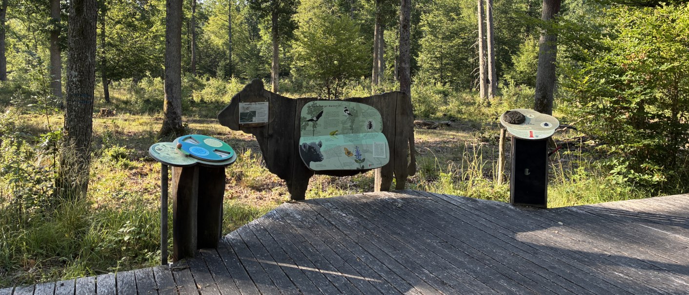 Holzschilder im Wald informieren über Tiere und Pflanzen. Die Tafeln sind in Form eines Tieres gestaltet und bieten interaktive Elemente., © Landratsamt Böblingen, Amt für Forsten Holzschilder im Wald informieren über Tiere und Pflanzen. Die Tafeln sind in Form eines Tieres gestaltet und bieten interaktive Elemente., © Landratsamt Böblingen, Amt für Forsten