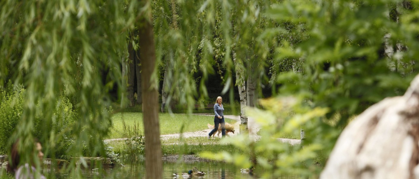 Eine Frau spaziert mit einem Hund im Schlossgarten Stuttgart. Im Vordergrund sind Bäume und ein Teich mit Enten zu sehen., © Stuttgart-Marketing GmbH, Christoph Düpper