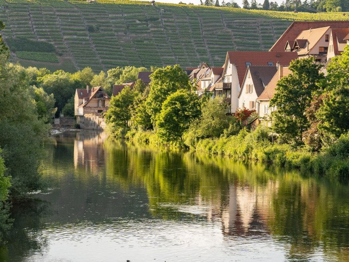 Ein ruhiger Fluss fließt an malerischen Häusern vorbei, umgeben von üppigem Grün. Im Hintergrund sind Weinberge zu sehen., © Stadt Besigheim Ein ruhiger Fluss fließt an malerischen Häusern vorbei, umgeben von üppigem Grün. Im Hintergrund sind Weinberge zu sehen., © Stadt Besigheim