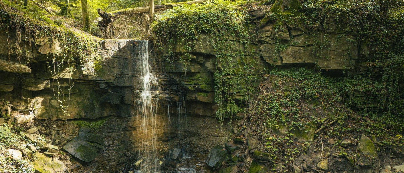Ein kleiner Wasserfall st&uuml;rzt &uuml;ber eine moosbewachsene Felswand in einem Wald, umgeben von &uuml;ppigem Gr&uuml;n und Kletterpflanzen., &copy; SMG, Sarah Schmid