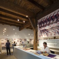 Stadtmuseum Stuttgart-Bad Cannstatt, © StadtPalais – Museum für Stuttgart