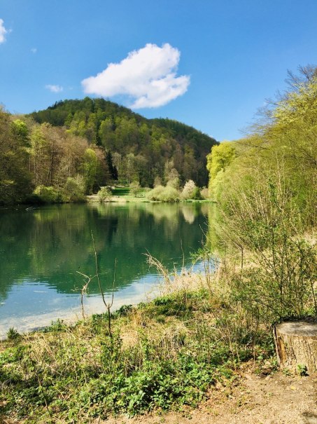 Kräuterwanderung mit Wildpflanzenpädagogin Gaby Schmid, © Kurverwaltung Bad Urach Kräuterwanderung mit Wildpflanzenpädagogin Gaby Schmid, © Kurverwaltung Bad Urach