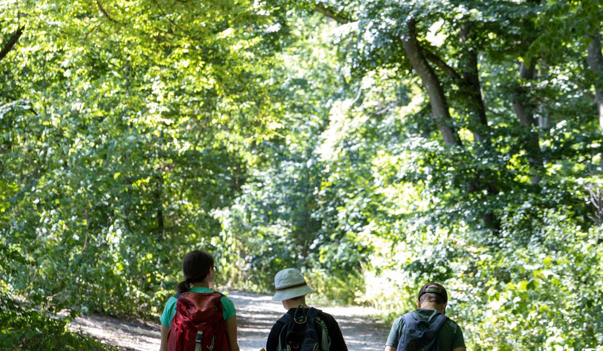 Drei Wanderer mit Rucksäcken gehen auf einem schattigen Waldweg, umgeben von dichtem, grünem Laub., © Foto Thomas Zehnder Drei Wanderer mit Rucksäcken gehen auf einem schattigen Waldweg, umgeben von dichtem, grünem Laub., © Foto Thomas Zehnder