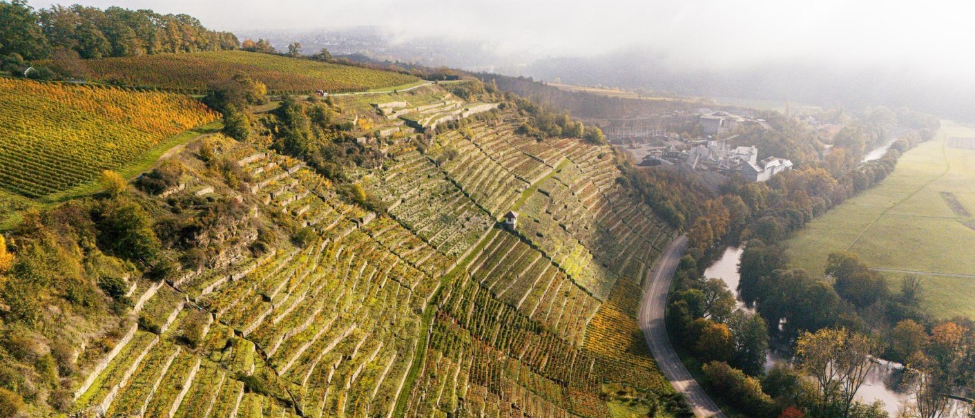 Luftaufnahme von terrassierten Weinbergen in Vaihingen an der Enz. Die Landschaft ist herbstlich gefärbt, mit einem Fluss und Gebäuden im Hintergrund., © Stuttgart-Marketing GmbH, Sarah Schmid Luftaufnahme von terrassierten Weinbergen in Vaihingen an der Enz. Die Landschaft ist herbstlich gefärbt, mit einem Fluss und Gebäuden im Hintergrund., © Stuttgart-Marketing GmbH, Sarah Schmid