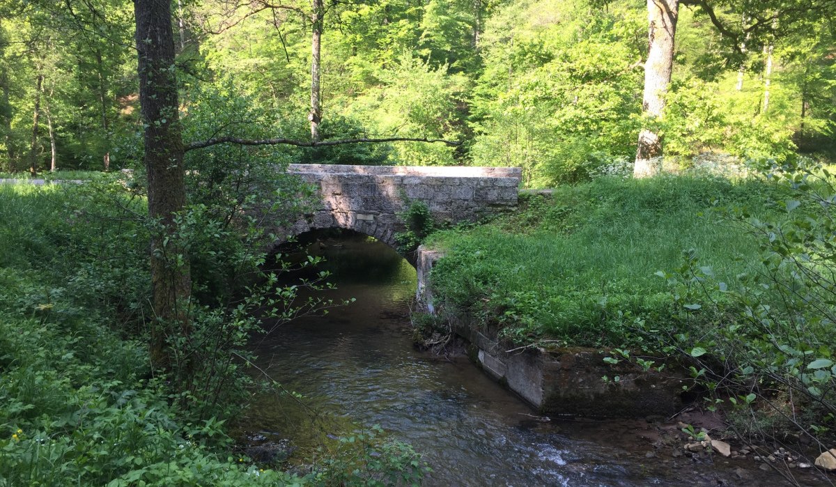 Eine alte Steinbrücke überspannt einen kleinen Bach in einem grünen, bewaldeten Gebiet. Sonnenlicht fällt durch die Bäume., © www.pro-cycl.de Eine alte Steinbrücke überspannt einen kleinen Bach in einem grünen, bewaldeten Gebiet. Sonnenlicht fällt durch die Bäume., © www.pro-cycl.de