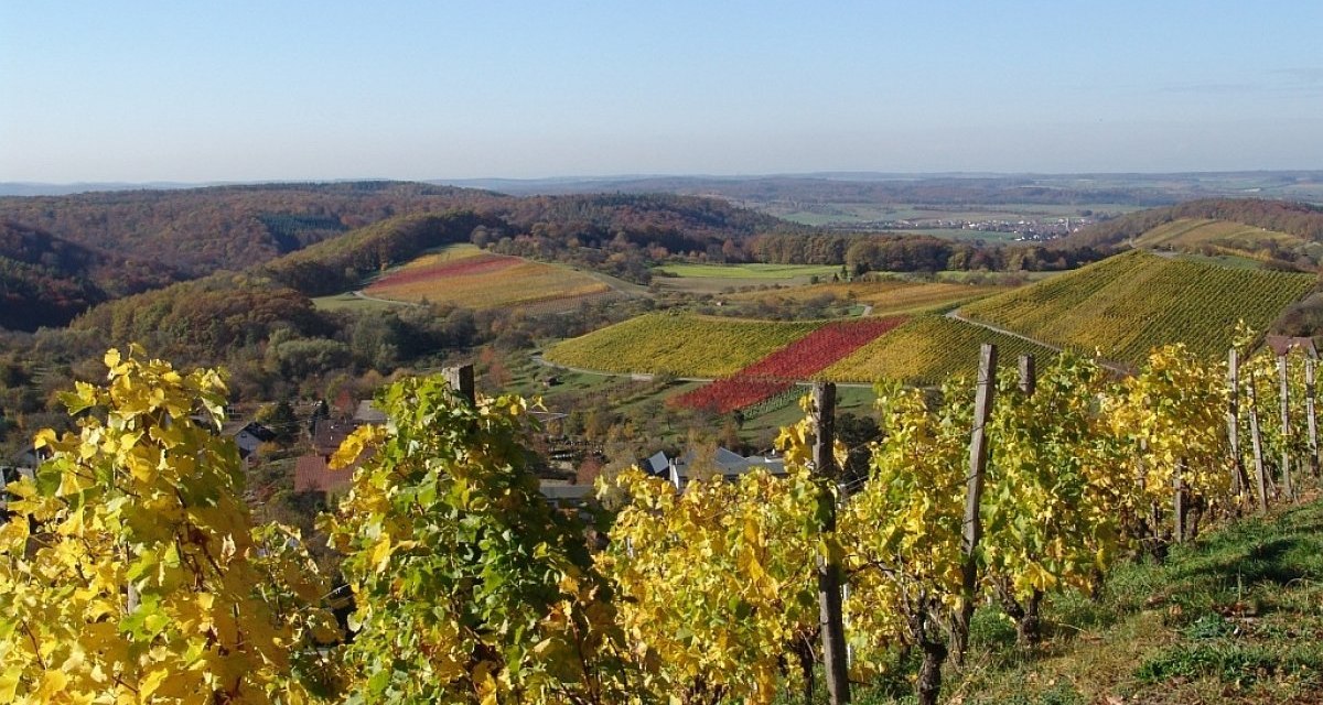 Weinberge, © Land der 1000 Hügel - Kraichgau-Stromberg Weinberge, © Land der 1000 Hügel - Kraichgau-Stromberg