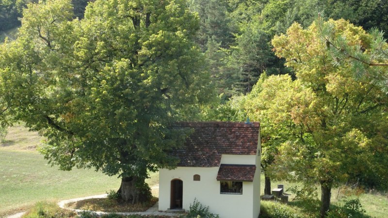 Die Reiterleskapelle steht idyllisch inmitten von B&auml;umen und gr&uuml;ner Natur, mit einem kleinen Weg, der zur Kapelle f&uuml;hrt., &copy; Foto: Frieder Kopper