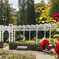 Ein Rosengarten mit roten Rosen im Vordergrund, einer weißen Pergola und einer Statue im Hintergrund. Bäume umgeben den Garten., © Stuttgart-Marketing GmbH, Sarah Schmid
