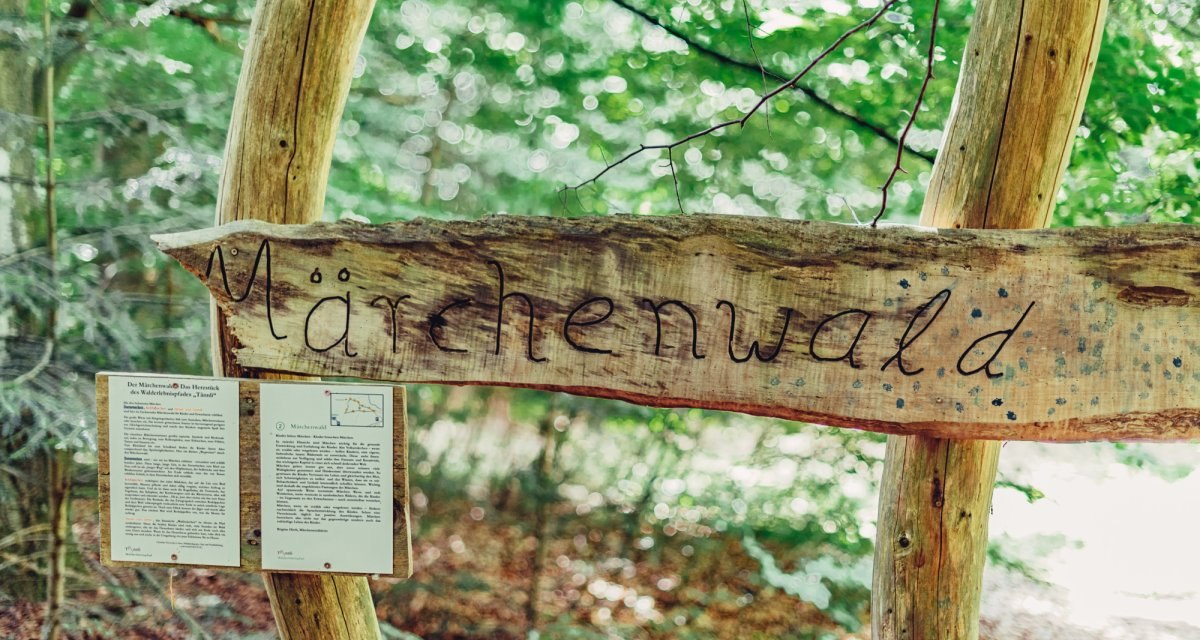 Ein Holzschild mit der Aufschrift 'Märchenwald' hängt an einem Baum im Wald. Darunter sind zwei Infotafeln angebracht., © Tourismus Ostalb Ein Holzschild mit der Aufschrift 'Märchenwald' hängt an einem Baum im Wald. Darunter sind zwei Infotafeln angebracht., © Tourismus Ostalb
