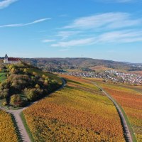 Cleebronn Michaelsberg | HeilbronnerLand, © Privatkellerei Storz - WeinFamilienTradition Cleebronn Michaelsberg | HeilbronnerLand, © Privatkellerei Storz - WeinFamilienTradition