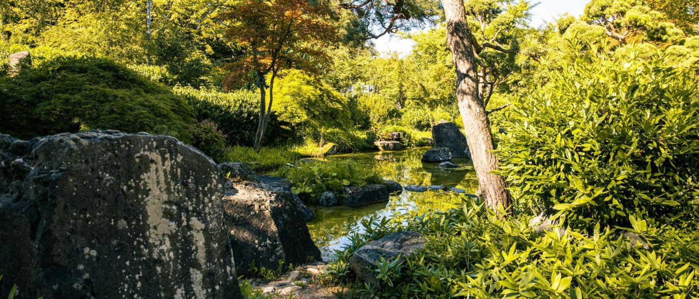Ein idyllischer Park mit üppigem Grün, Bäumen und einem kleinen Teich. Die Sonne scheint durch das Blätterdach und erzeugt ein friedliches Ambiente., © Stuttgart-Marketing GmbH, Sarah Schmid Ein idyllischer Park mit üppigem Grün, Bäumen und einem kleinen Teich. Die Sonne scheint durch das Blätterdach und erzeugt ein friedliches Ambiente., © Stuttgart-Marketing GmbH, Sarah Schmid