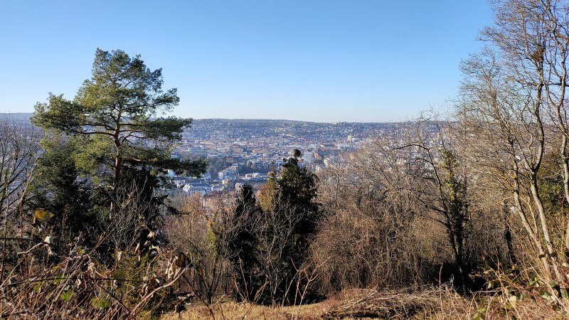 Blick von einem bewaldeten Hügel auf eine Stadt im Tal, umgeben von kahlen Bäumen und einem klaren blauen Himmel., © SMG