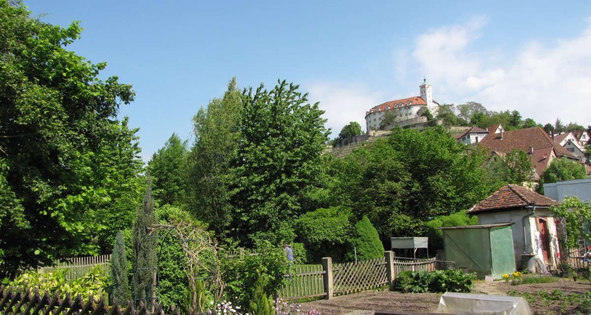 Ein gepflegter Garten mit Holzzaun, Bäumen und Sträuchern. Im Hintergrund ist eine Burg auf einem Hügel zu sehen, umgeben von blauen Himmel., © Land der 1000 Hügel - Kraichgau-Stromberg Ein gepflegter Garten mit Holzzaun, Bäumen und Sträuchern. Im Hintergrund ist eine Burg auf einem Hügel zu sehen, umgeben von blauen Himmel., © Land der 1000 Hügel - Kraichgau-Stromberg