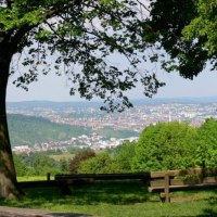 Aussicht bei der Esslinger Katharinenlinde auf das Neckartal, © Esslinger Stadtmarketing & Tourismus GmbH