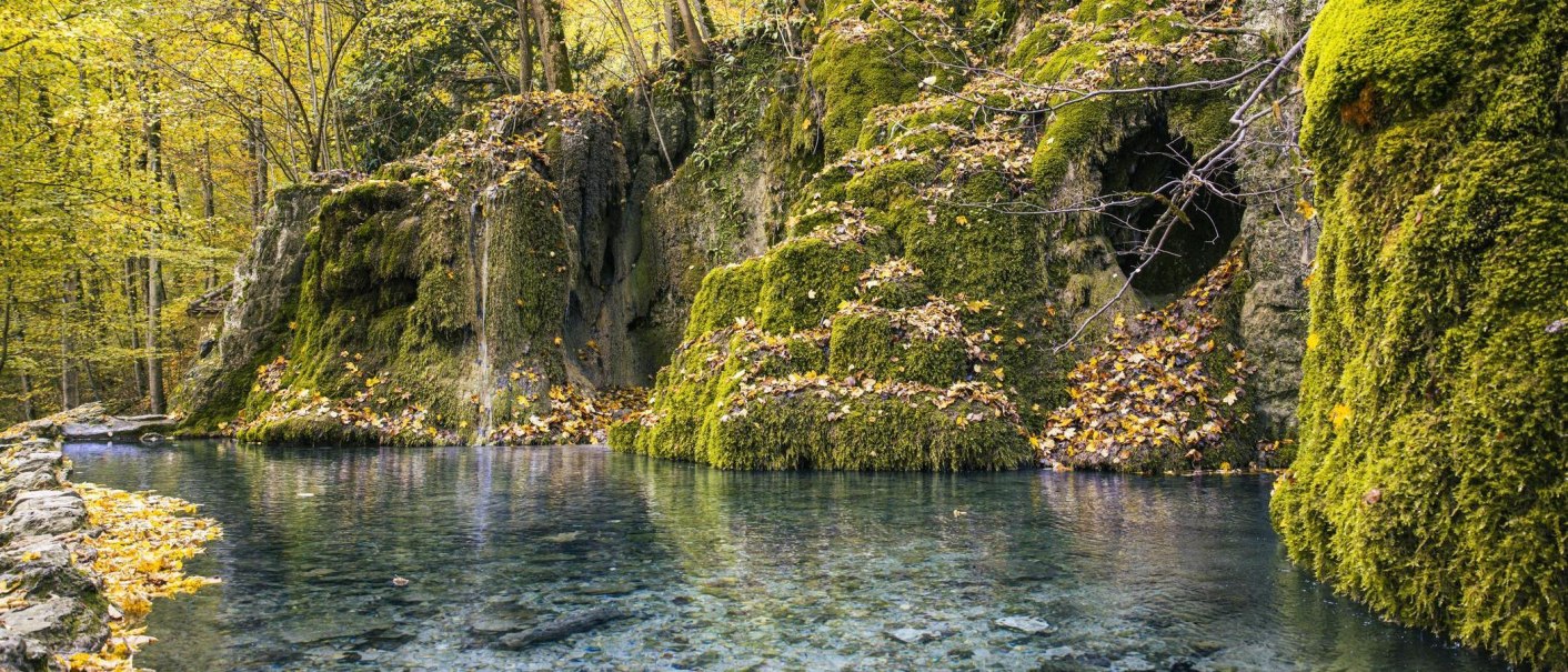 Moosbedeckter Wasserfall im Wald, umgeben von klarem Wasser und Herbstlaub. Die Natur zeigt sich in herbstlichen Farben., © Stuttgart-Marketing GmbH, Sarah Schmid Moosbedeckter Wasserfall im Wald, umgeben von klarem Wasser und Herbstlaub. Die Natur zeigt sich in herbstlichen Farben., © Stuttgart-Marketing GmbH, Sarah Schmid