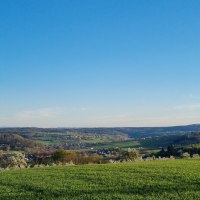 Weite Landschaft mit grünen Feldern und blühenden Bäumen unter klarem, blauem Himmel. Im Hintergrund sind Hügel und Wälder zu sehen., © NPSFW Weite Landschaft mit grünen Feldern und blühenden Bäumen unter klarem, blauem Himmel. Im Hintergrund sind Hügel und Wälder zu sehen., © NPSFW