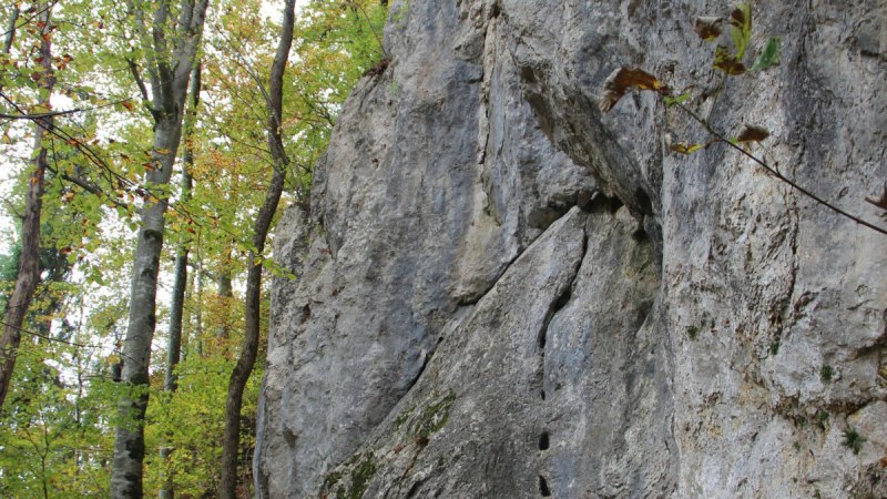 Ein massiver Felsen erhebt sich im Wald, umgeben von hohen Bäumen und herbstlichem Laub., © Bad urach Tourismus Ein massiver Felsen erhebt sich im Wald, umgeben von hohen Bäumen und herbstlichem Laub., © Bad urach Tourismus
