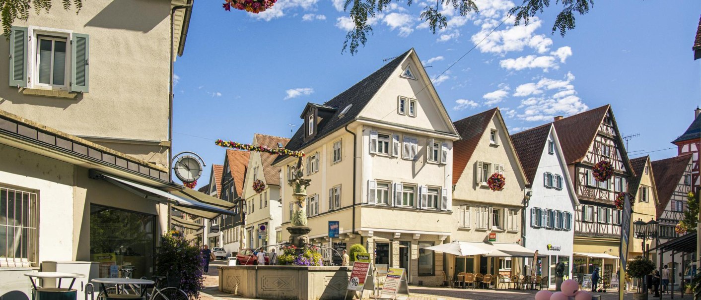 Die Altstadt von Bietigheim-Bissingen zeigt malerische Fachwerkhäuser und einen zentralen Brunnen unter einem klaren, blauen Himmel., © SMG, Sarah Schmid Die Altstadt von Bietigheim-Bissingen zeigt malerische Fachwerkhäuser und einen zentralen Brunnen unter einem klaren, blauen Himmel., © SMG, Sarah Schmid