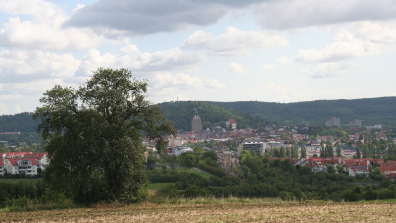 Ein Baum steht auf einem Feld im Vordergrund, dahinter eine Stadt mit roten Dächern und Hügeln im Hintergrund unter bewölktem Himmel., © Natur.Nah. Schönbuch & Heckengäu