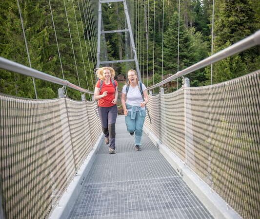 2. Globetrotter Wandertage Schwarzwald: Wanderung "Entdecke die wilde Seite von Bad Wildbad", © Touristik Bad Wildbad GmbH