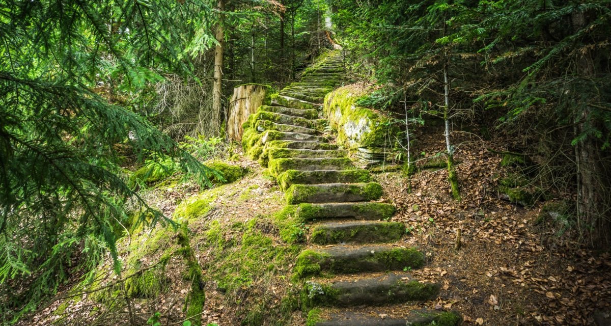 Die Mathildenstaffeln f&uuml;hren mit ca. 600 Stufen steil bergab nach Bad Teinach, &copy; N&ouml;rdlicher Schwarzwald
