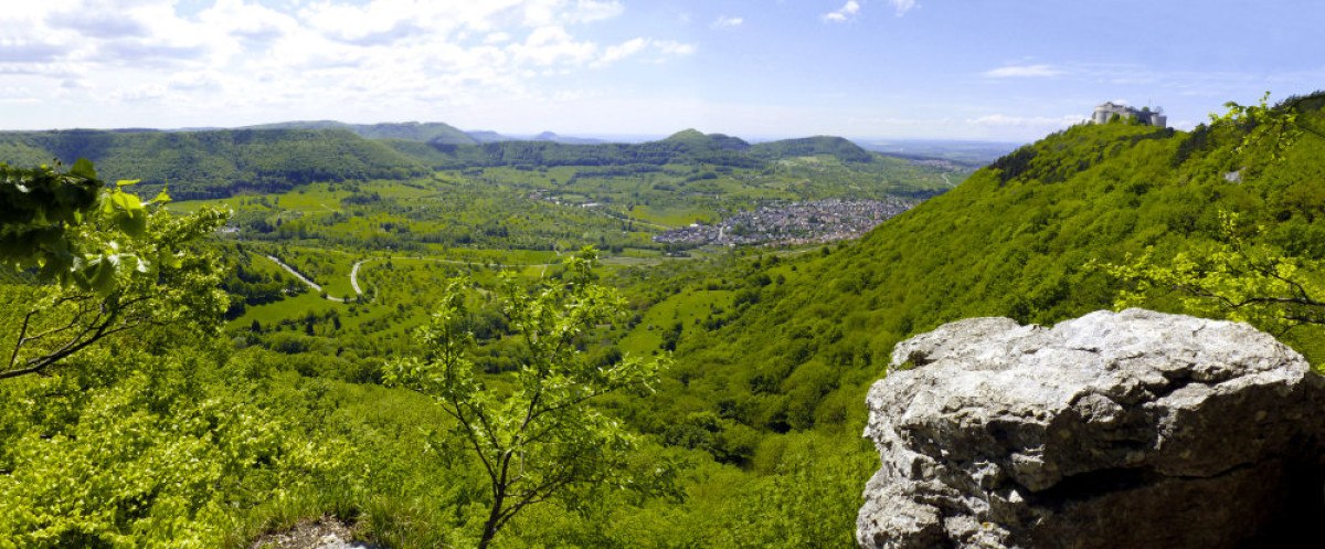 Panoramablick über eine grüne Hügellandschaft mit einer Burg auf einem Hügel rechts. Im Tal liegt eine Stadt, umgeben von üppiger Vegetation., © Albverein Metzingen Panoramablick über eine grüne Hügellandschaft mit einer Burg auf einem Hügel rechts. Im Tal liegt eine Stadt, umgeben von üppiger Vegetation., © Albverein Metzingen