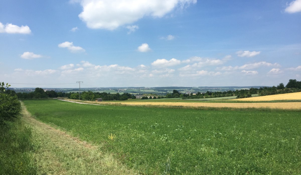 Grüne Felder unter blauem Himmel mit weißen Wolken. Ein schmaler Weg führt durch die Landschaft. Im Hintergrund sind Hügel sichtbar., © www.pro-cycl.de