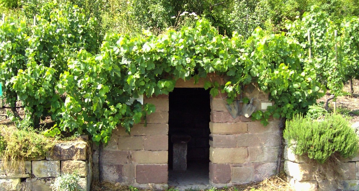 Ein kleines, steinernes Weinberghäuschen, bedeckt mit üppigen Weinreben, steht inmitten eines grünen Weinbergs., © Land der 1000 Hügel - Kraichgau-Stromberg Ein kleines, steinernes Weinberghäuschen, bedeckt mit üppigen Weinreben, steht inmitten eines grünen Weinbergs., © Land der 1000 Hügel - Kraichgau-Stromberg
