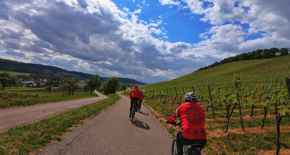 Zwei Radfahrer in roten Trikots fahren auf einem Weg durch Weinberge. Der Himmel ist bewölkt, die Landschaft ist grün und hügelig., © Land der 1000 Hügel - Kraichgau-Stromberg Zwei Radfahrer in roten Trikots fahren auf einem Weg durch Weinberge. Der Himmel ist bewölkt, die Landschaft ist grün und hügelig., © Land der 1000 Hügel - Kraichgau-Stromberg